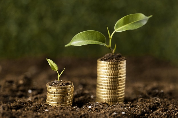 A Evolução dos Investimento financeiro: Negócio Independente vs. Franquia