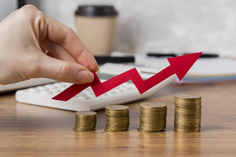 Qual o Retorno de Investimento Esperado em uma Franquia?